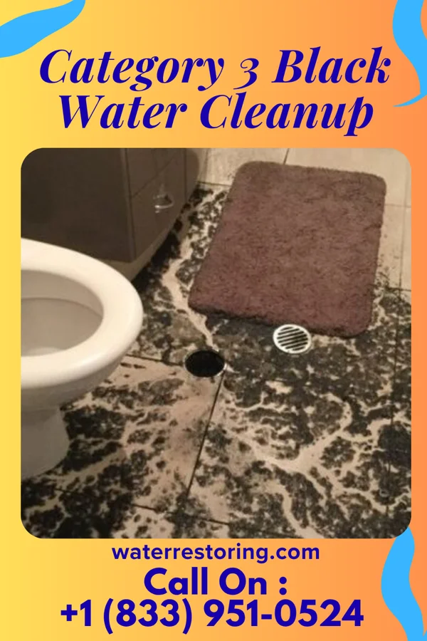 Category 3 Black Water Cleanup in West Rushville, OH