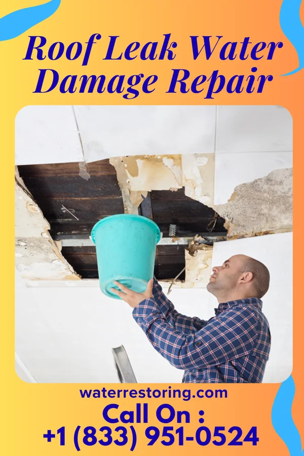 Roof Leak Water Damage Repair in West Rushville, OH