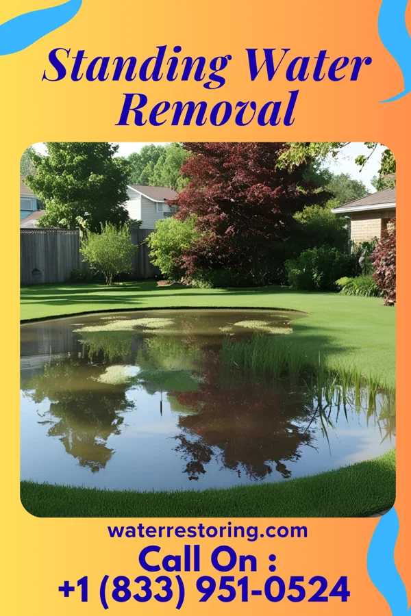 Standing Water Removal in West Rushville, OH